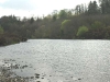 llanwrda7-800