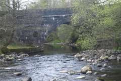 River Aman Gallery
