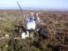grouse-moor-01